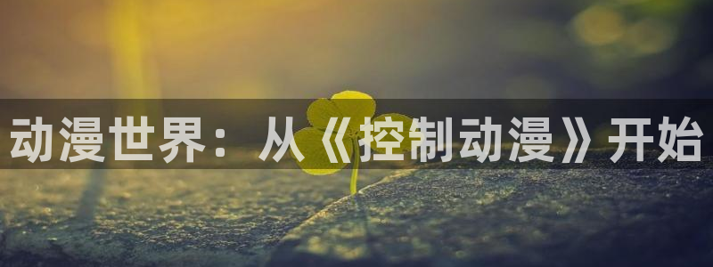 4d同人动漫：动漫世界：从《控制动漫》开始