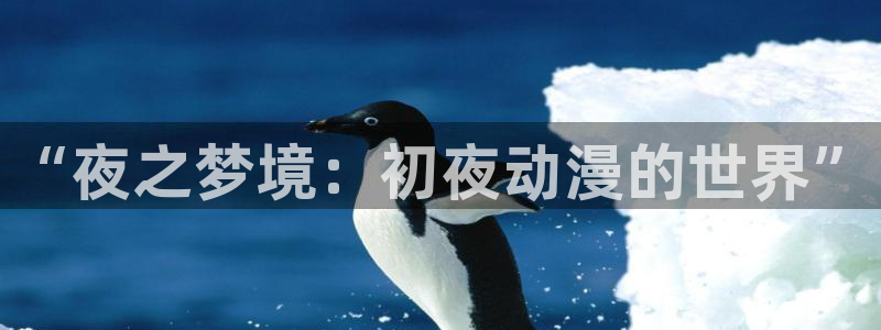 同人动漫小说吧：“夜之梦境：初夜动漫的世界”