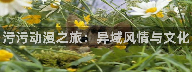 成人同人动漫免费观看：污污动漫之旅：异域风情与文化