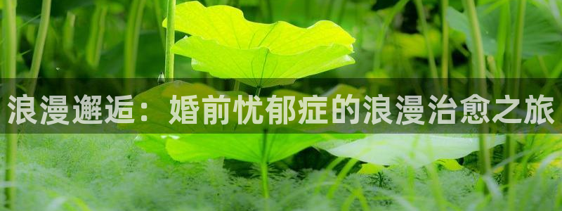 免费观看同人动漫网站：浪漫邂逅：婚前忧郁症的浪漫治愈之旅