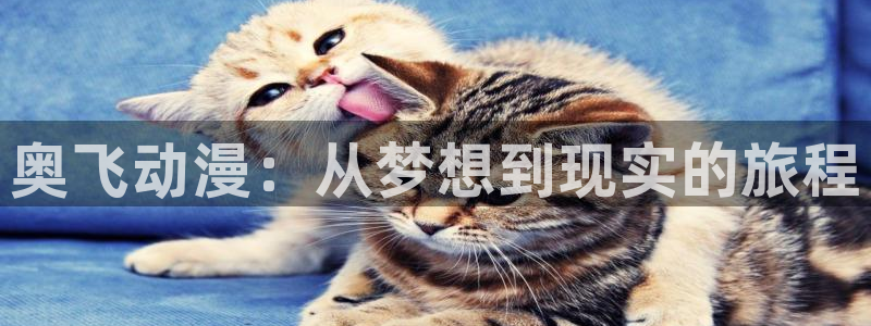 3d同人动漫用什么软件：奥飞动漫：从梦想到现实的旅程